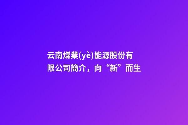 云南煤業(yè)能源股份有限公司簡介，向“新”而生-第1張-觀點-玄機(jī)派