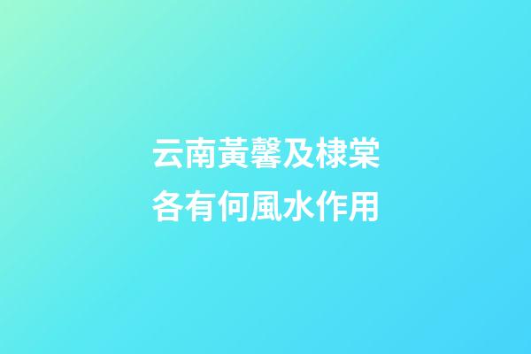 云南黃馨及棣棠各有何風水作用?