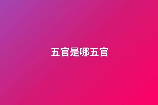 五官是哪五官