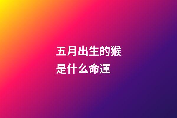 五月出生的猴是什么命運(出生在這些年月的人，天生龍鳳命，40歲前必發家致富)-第1張-觀點-玄機派