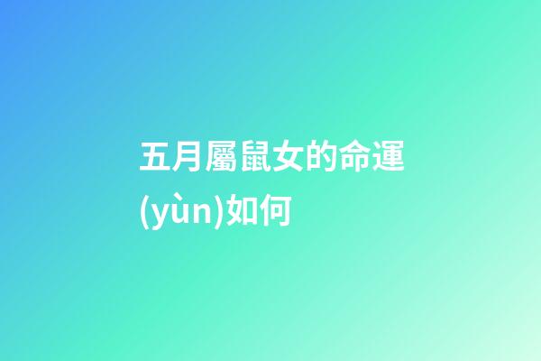 五月屬鼠女的命運(yùn)如何(屬鼠人：5月25運(yùn)勢解析)-第1張-觀點(diǎn)-玄機(jī)派