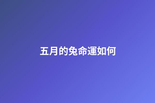 五月的兔命運如何(2022年五月份：獅子座整體運勢詳細解析，好事發生以及注意事項)-第1張-觀點-玄機派