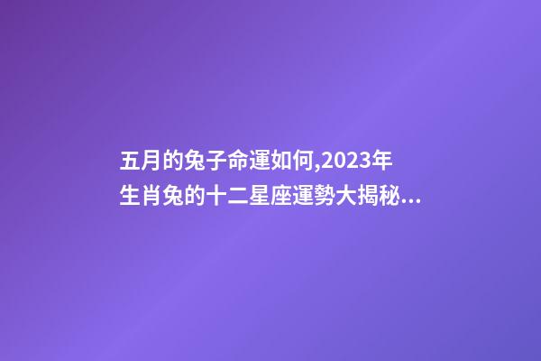 五月的兔子命運如何,2023年生肖兔的十二星座運勢大揭秘!看看你的運勢如何-第1張-觀點-玄機派