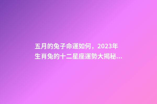 五月的兔子命運如何，2023年生肖兔的十二星座運勢大揭秘!看看你的運勢如何-第1張-觀點-玄機派