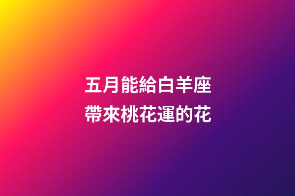 五月能給白羊座帶來桃花運的花-第1張-星座運勢-玄機派