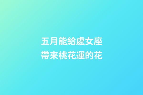 五月能給處女座帶來桃花運的花-第1張-星座運勢-玄機派