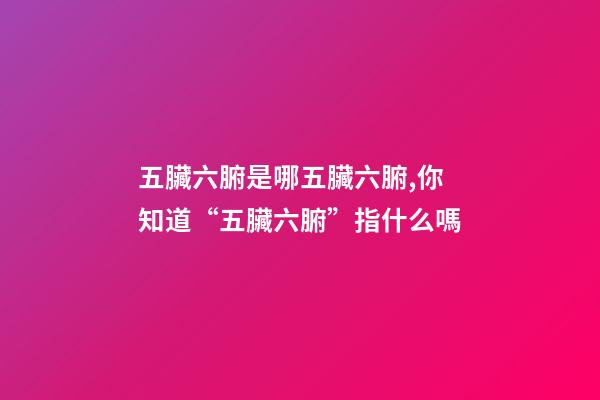 五臟六腑是哪五臟六腑,你知道“五臟六腑”指什么嗎-第1張-觀點-玄機派