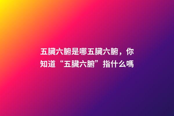 五臟六腑是哪五臟六腑，你知道“五臟六腑”指什么嗎-第1張-觀點-玄機派