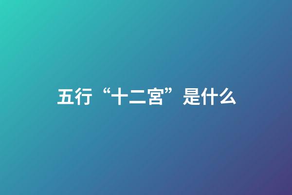 五行“十二宮”是什么?