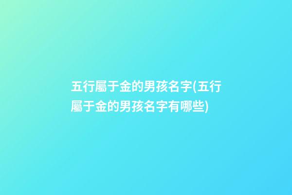 五行屬于金的男孩名字(五行屬于金的男孩名字有哪些)