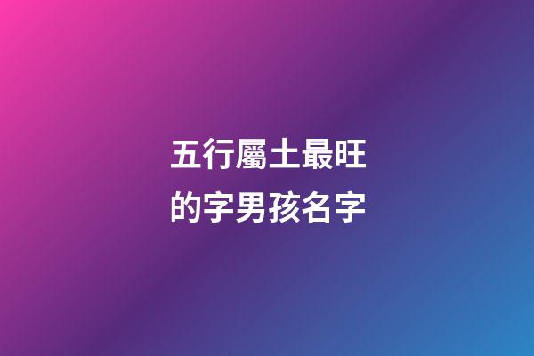 五行屬土最旺的字男孩名字(五行屬土最吉利男孩的字)-第1張-男孩起名-玄機派