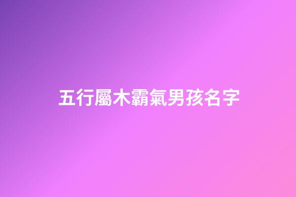 五行屬木霸氣男孩名字(好聽的五行屬木的男孩名)-第1張-男孩起名-玄機派