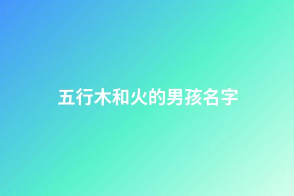 五行木和火的男孩名字(五行帶木和火的男孩小名)-第1張-男孩起名-玄機派