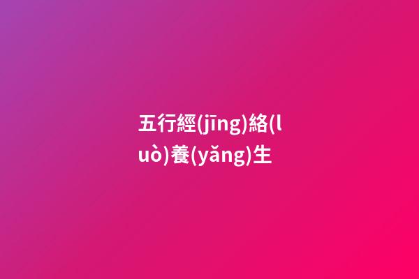 五行經(jīng)絡(luò)養(yǎng)生