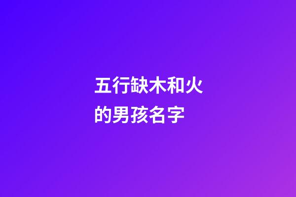 五行缺木和火的男孩名字(五行缺木火的男孩名字屬虎怎么取)-第1張-男孩起名-玄機派
