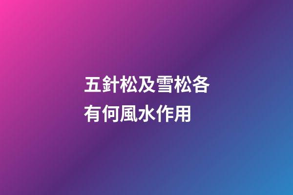 五針松及雪松各有何風水作用?