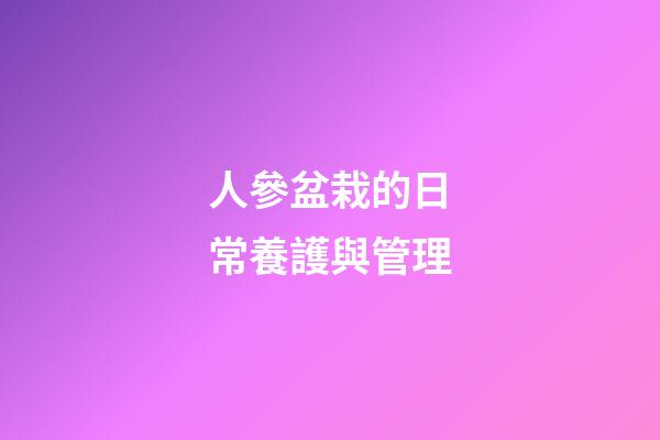 人參盆栽的日常養護與管理