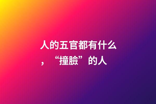 人的五官都有什么，“撞臉”的人-第1張-觀點-玄機派