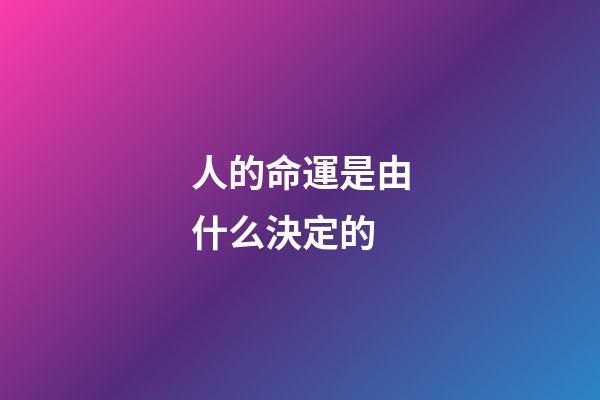 人的命運是由什么決定的