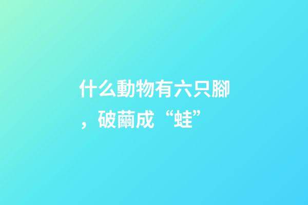 什么動物有六只腳，破繭成“蛙”