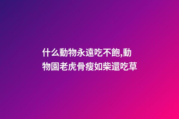 什么動物永遠吃不飽,動物園老虎骨瘦如柴還吃草-第1張-觀點-玄機派