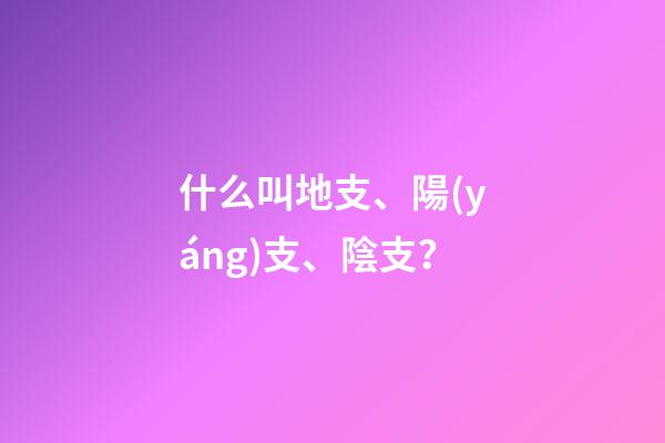 什么叫地支、陽(yáng)支、陰支？