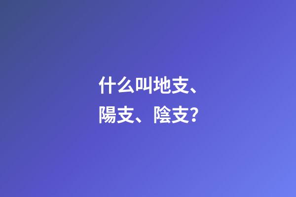什么叫地支、陽支、陰支？