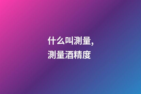 什么叫測量,測量酒精度-第1張-觀點-玄機派
