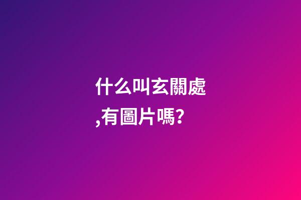 什么叫玄關處,有圖片嗎？