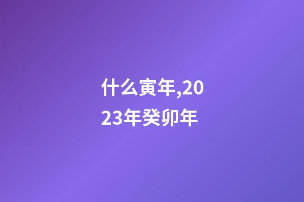 什么寅年,2023年癸卯年-第1張-觀點(diǎn)-玄機(jī)派