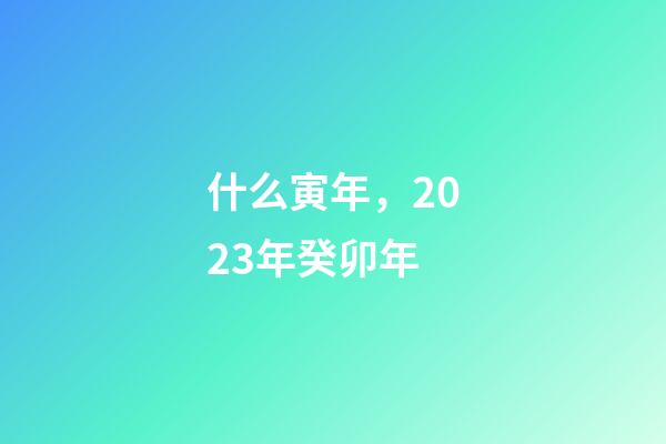 什么寅年，2023年癸卯年-第1張-觀點(diǎn)-玄機(jī)派