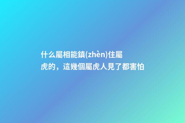 什么屬相能鎮(zhèn)住屬虎的，這幾個屬虎人見了都害怕