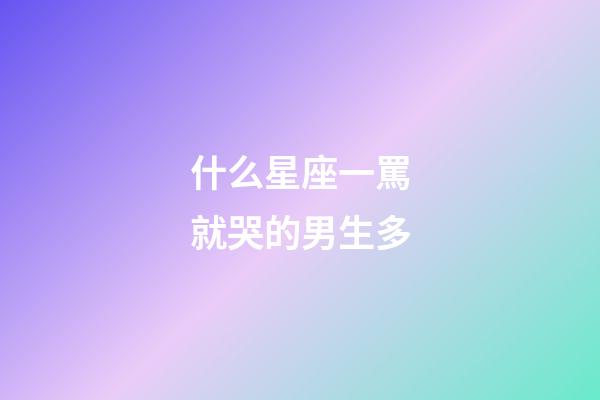 什么星座一罵就哭的男生多-第1張-星座運勢-玄機派