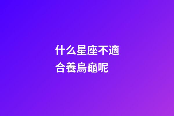 什么星座不適合養烏龜呢-第1張-星座運勢-玄機派