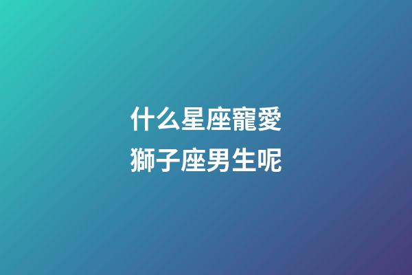 什么星座寵愛獅子座男生呢-第1張-星座運勢-玄機派