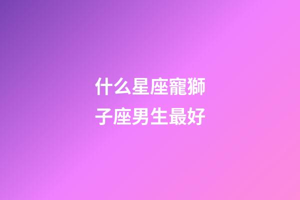 什么星座寵獅子座男生最好-第1張-星座運(yùn)勢-玄機(jī)派