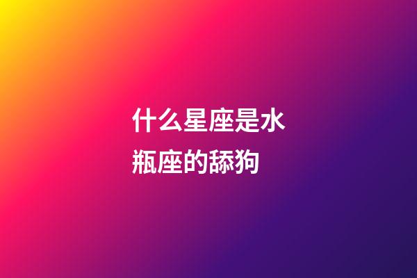 什么星座是水瓶座的舔狗-第1張-星座運勢-玄機派