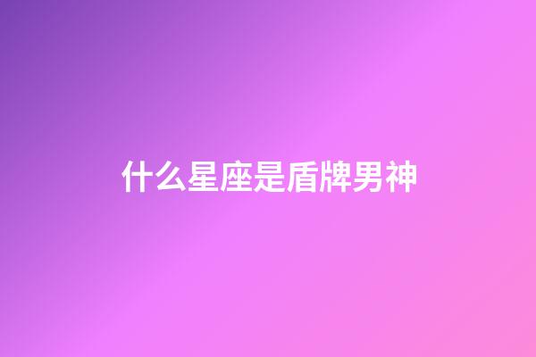 什么星座是盾牌男神