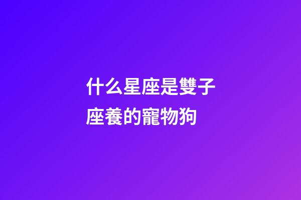 什么星座是雙子座養的寵物狗-第1張-星座運勢-玄機派