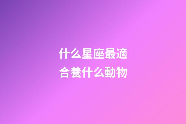 什么星座最適合養什么動物-第1張-星座運勢-玄機派