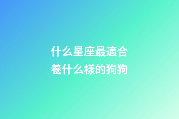 什么星座最適合養什么樣的狗狗-第1張-星座運勢-玄機派