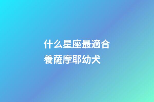 什么星座最適合養薩摩耶幼犬-第1張-星座運勢-玄機派