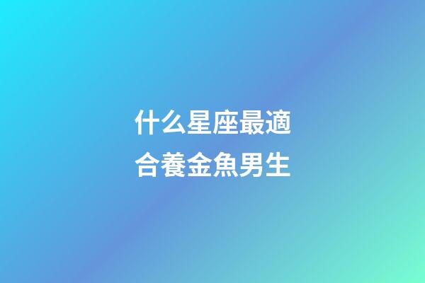 什么星座最適合養金魚男生-第1張-星座運勢-玄機派