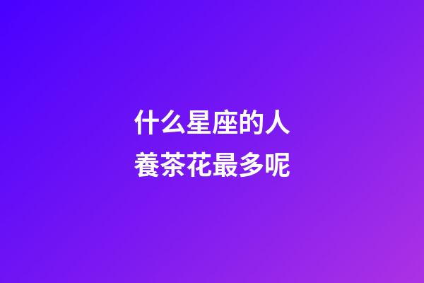什么星座的人養茶花最多呢-第1張-星座運勢-玄機派