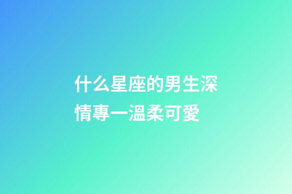 什么星座的男生深情專一溫柔可愛-第1張-星座運勢-玄機派