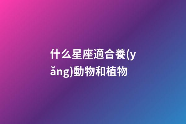 什么星座適合養(yǎng)動物和植物-第1張-星座運勢-玄機派