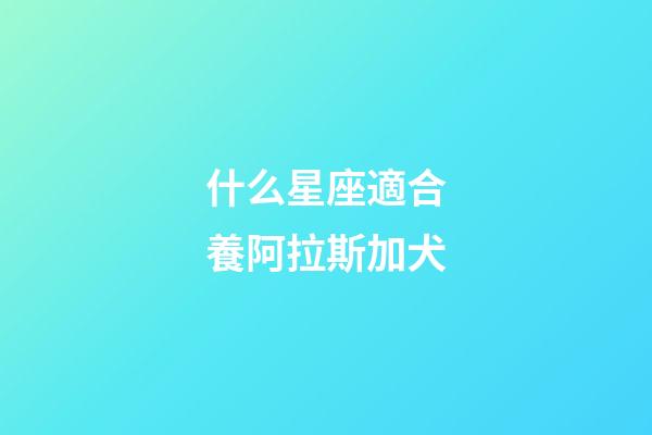 什么星座適合養阿拉斯加犬