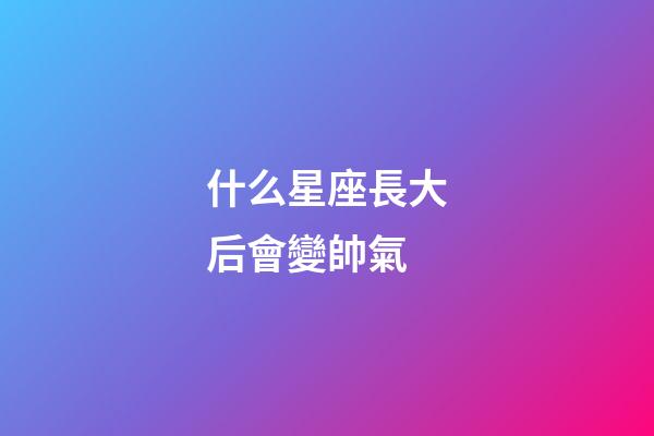 什么星座長大后會變帥氣-第1張-星座運勢-玄機派