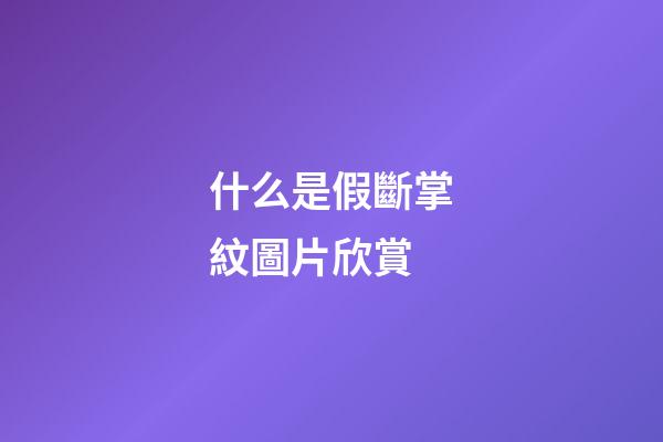 什么是假斷掌紋圖片欣賞