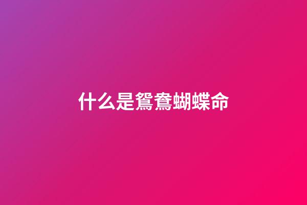 什么是鴛鴦蝴蝶命